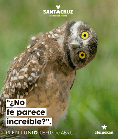 Cartel Plenilunio